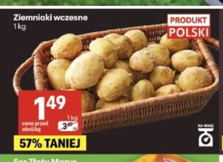 Ziemniaki wczesne