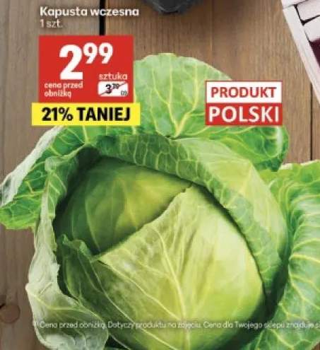 Kapusta wczesna polska