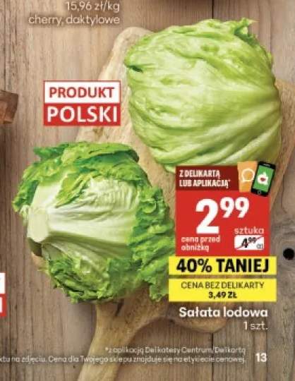 Sałata lodowa polska
