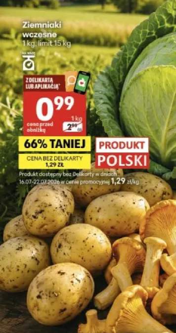 Ziemniaki wczesne polskie