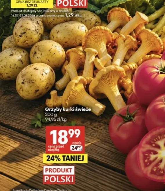 Grzyby kurki świeże polskie