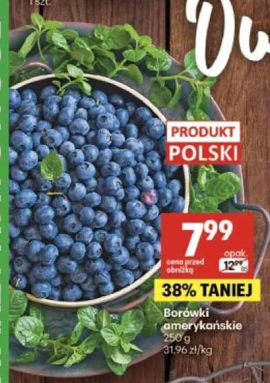 Borówki amerykańskie