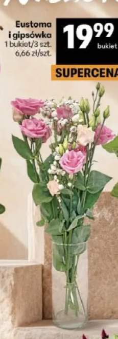 Eustoma i gipsówka