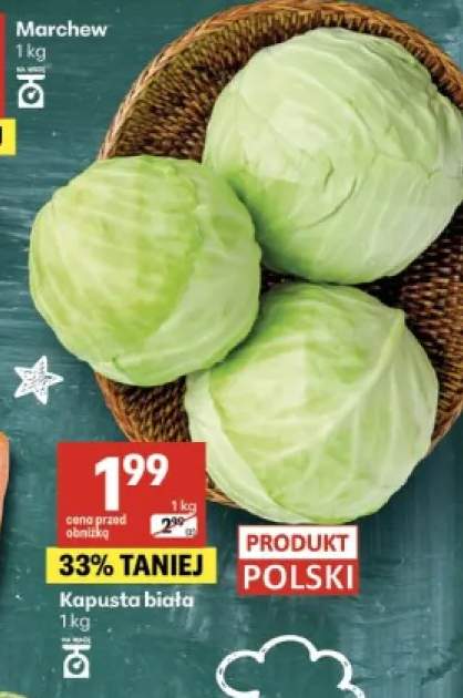 Kapusta biała