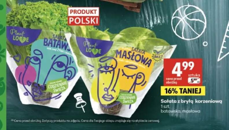Sałata z bryłą korzeniową masłowa Plant Love +1 wariant