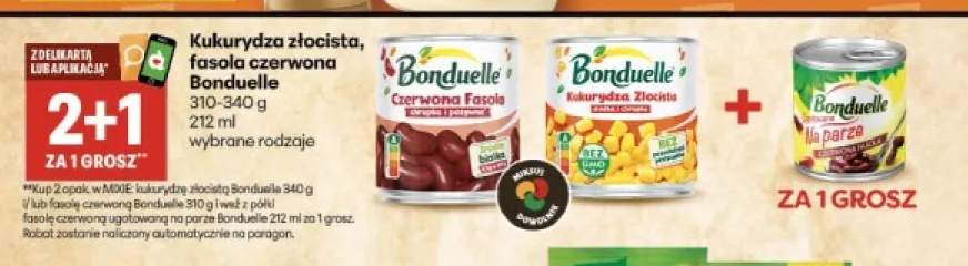 Kukurydza złocista Bonduelle +2 warianty