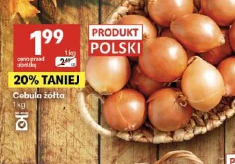 Cebula żółta