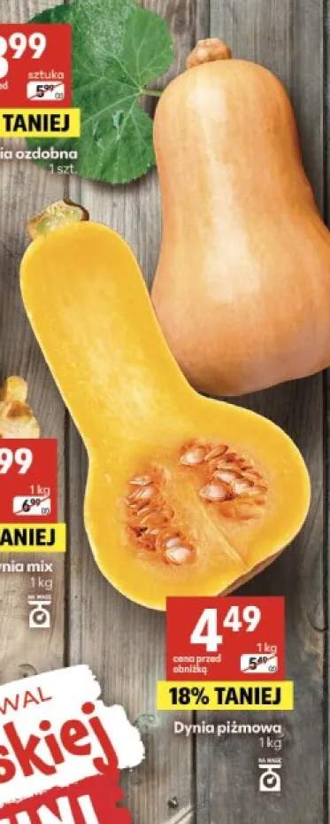 Dynia piżmowa