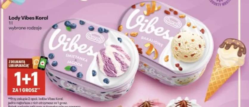 Lody Vibes bakaliowe +1 wariant