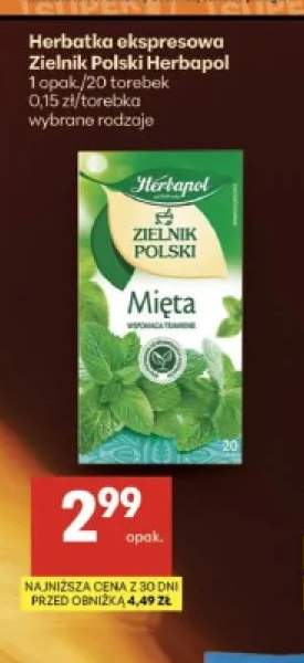 Herbatka ekspresowa Zielnik Polski Herbapol