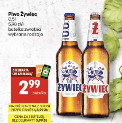 Piwo Żywiec