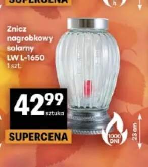 Znicz nagrobkowy solarny Lw L-1650