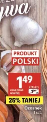 Czosnek