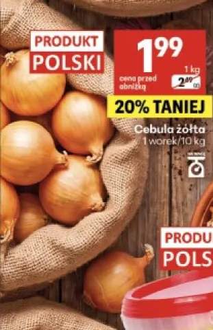 Cebula żółta