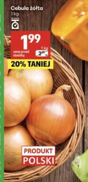 Cebula żółta