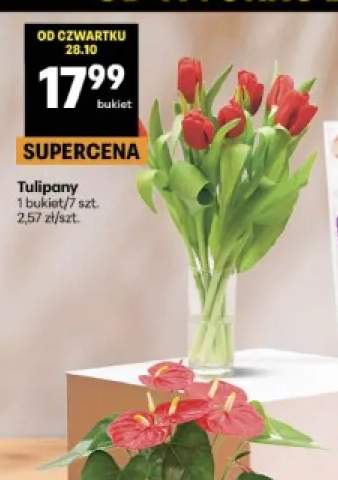 Tulipany