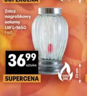 Znicz nagrobkowy solarny Lw L-1650