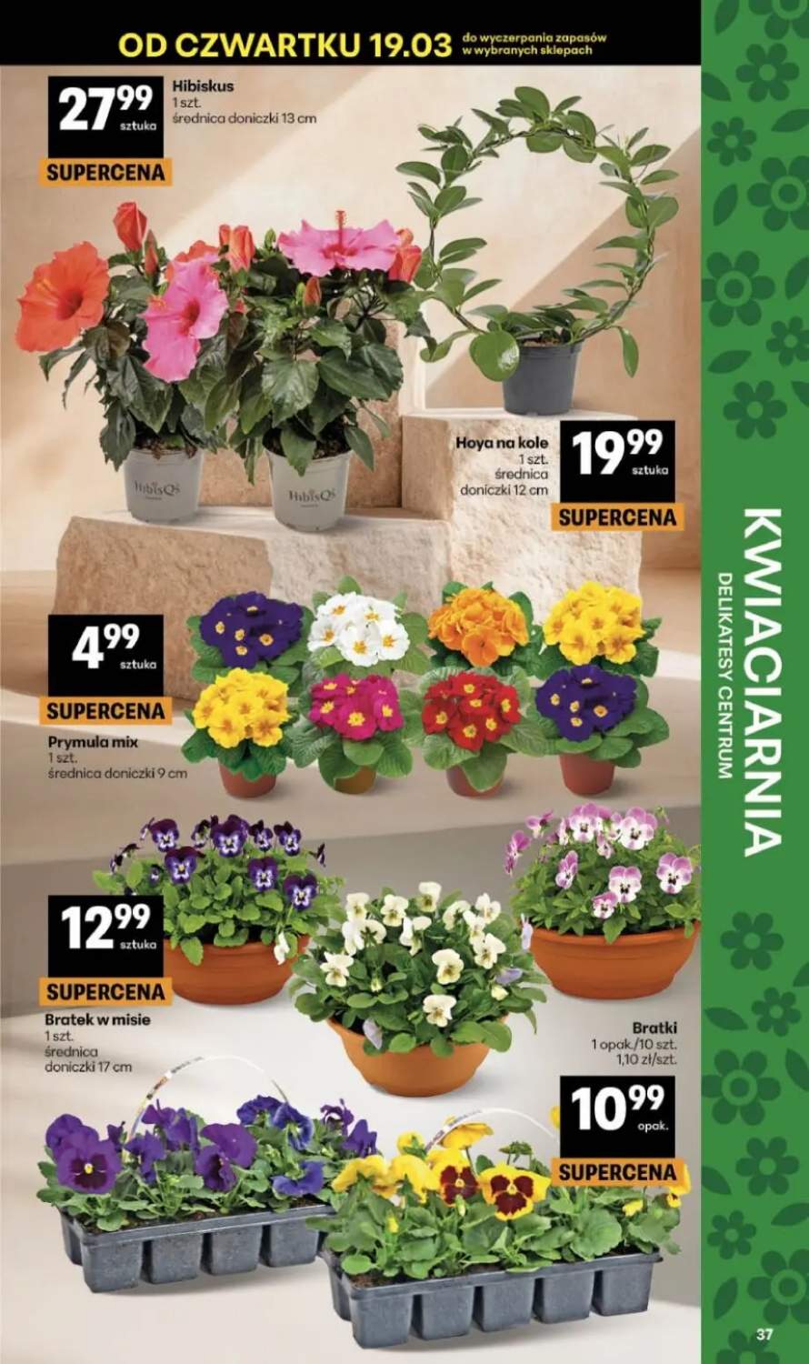 Gazetka – strona 37