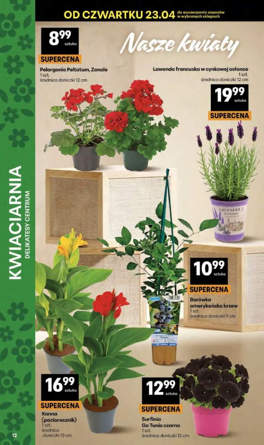 Gazetka – strona 12